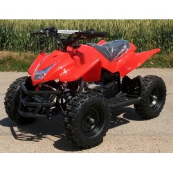 Mini Quad 49cc Repti 6 pouces, Atv, Démarreur Electrique