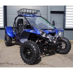buggy renli 500cc